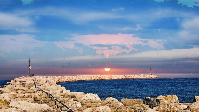 美高梅集团：园林绿化用苗木