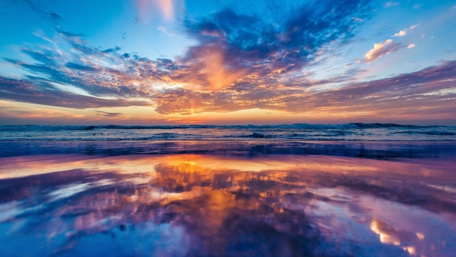 MGM：园林绿化每平米灌多少