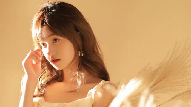 美高梅公司：园林绿化养护趋势