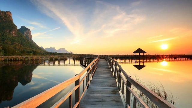 美高梅集团：园林绿化树木防护