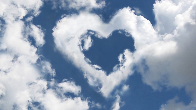 美高梅公司：园林绿化接待室