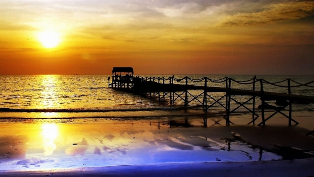 美高梅：园林绿化球类树木