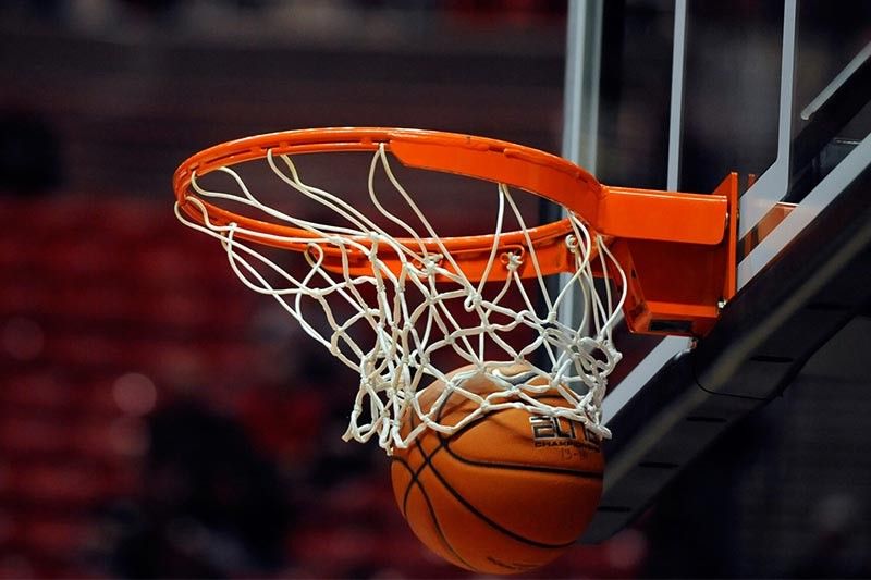 美高梅集团：园林绿化苗木养殖方法