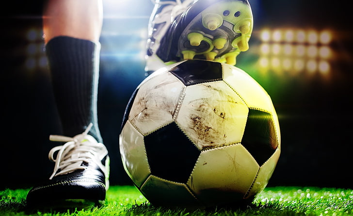 美高梅集团：园林绿化浇水时间