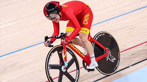 美高梅公司：园林绿化冬天做什么