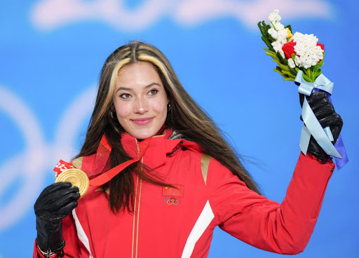 MGM：人为破坏加剧城市绿化难题：分析市政园林管理的挑战与应对方案